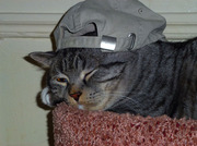 Андрей Голованов