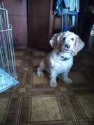 Наталия Головлёва