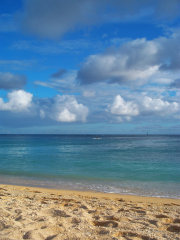 Олег Толкачёв