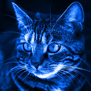 Максим Смирнов