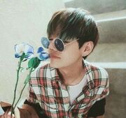 Валерия Пшеничная