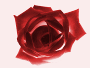 Ольга Литвинчук