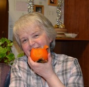 Елена Апостолова