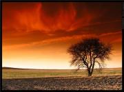 Мири Керимов