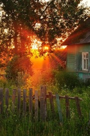 Ирма Лаванда