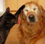 Анастасия Ефременко