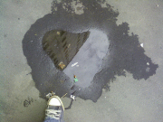 Анна Александровна