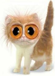 санек Ткаченко