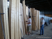 Геннадий Тарасов