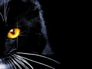 Марина Авосаркен