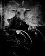 Александр Новиков