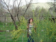 Элина Мкртчян