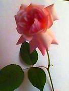 Татьяна  Хакова