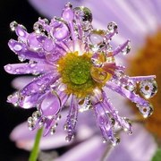 Евгения Кокорина