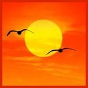 Василий Ванин