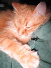 Ольга Леманн