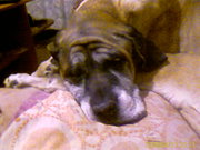 Андрей  Курган