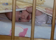 Светлана Никитина