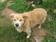 Сергей Ольшин