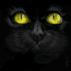 Амок Пиблокто