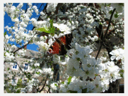 Оксана Ремесюк