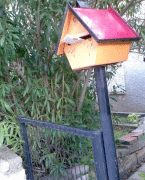 Марина Симкина