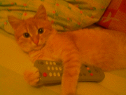 Ольга Филиппова