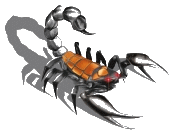 Костя Василенко