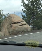 Сергей Кривощеков